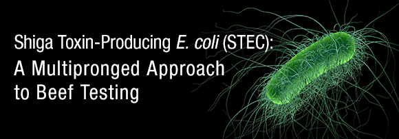 Shiga Toxin-Producing E. coli (STEC): A Multipronged Approach to Beef Testing