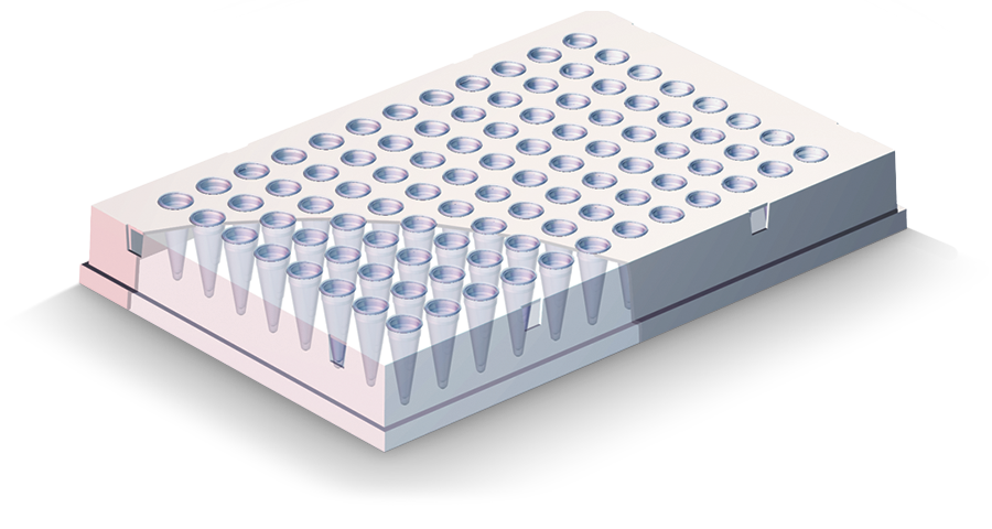PCR plate detail